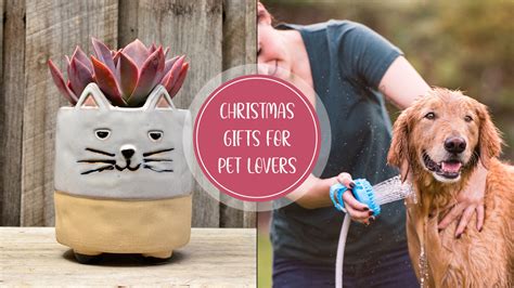 10+ Best Christmas Gift Ideas for Pet Lovers