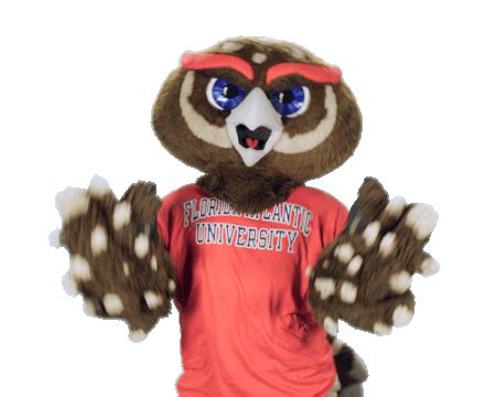 Fau Owlsley Sticker by Florida Atlantic University for iOS & Android ...