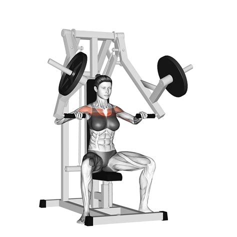 Chest Press vs Bench Press: Are They Different Exercises? - Inspire US