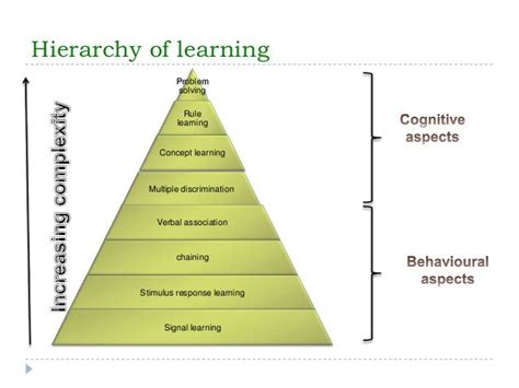 Gagne Conditions Of Learning | Gagne’s Taxonomy Of Learning With Example