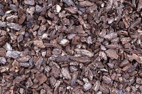 7 Best Dog-Safe Mulches (And 4 to AVOID)! (2022)