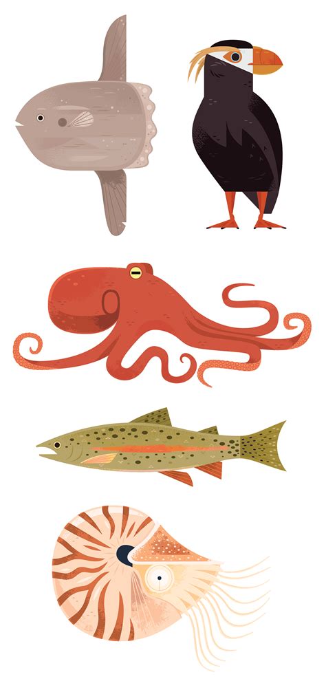 Monterey Bay Aquarium Icons on Behance