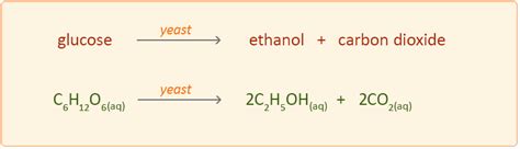 Yeast Fermentation Equation