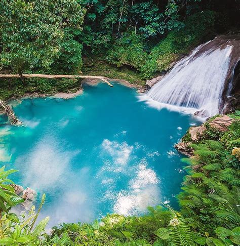 Know Amazing Waterfalls of Ocho Rios in Jamaica | Attractions in ...