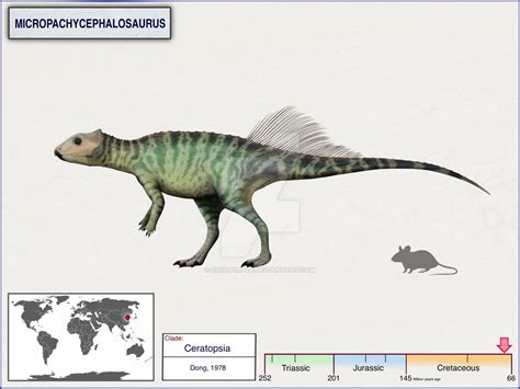 Micropachycephalosaurus by cisiopurple on DeviantArt