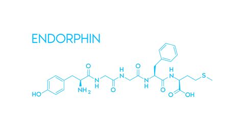 Endorphin structural chemical formula isolated on white background ...