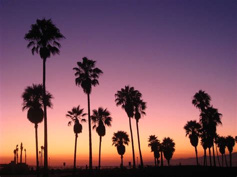 Venice Beach Sunset Wallpapers - Top Free Venice Beach Sunset ...