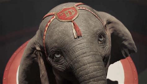 Dumbo (2019) – Movie Reviews Simbasible