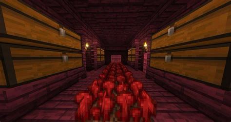 Different growth stages of Nether wart in Minecraft