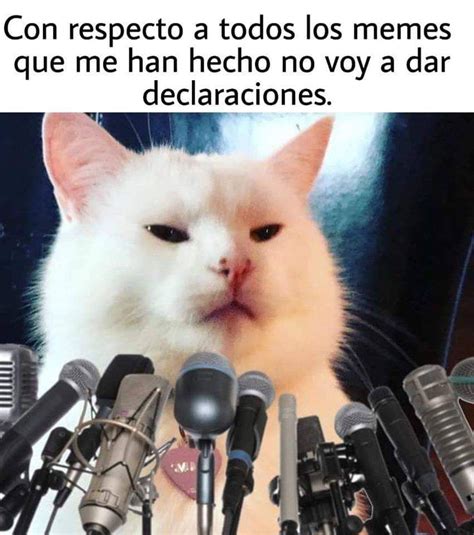 Top 24 Memes divertidos gatos | Memes divertidos, Memes de tios, Meme gato