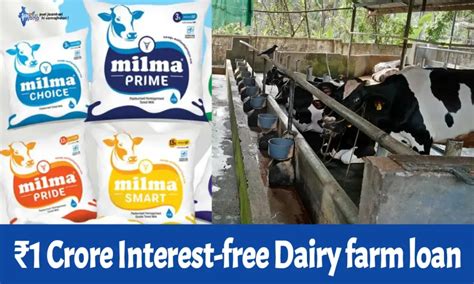 Milma's Interest-free loan scheme for dairy farmers Kerala 2024