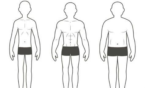 The Three Different Body Types and How They Affect Your Training