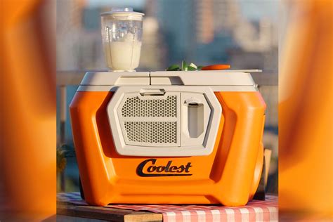 Best Coolers for Summer | The Daily Dish