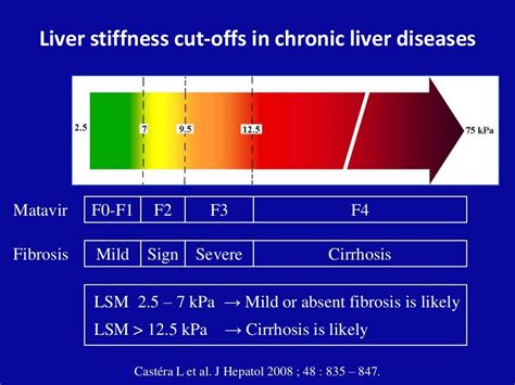 Liver stiffness measurement (fibroscan®)