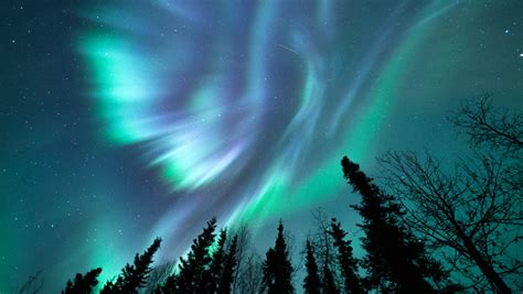 World Famous Aurora Viewing | Explore Fairbanks, Alaska