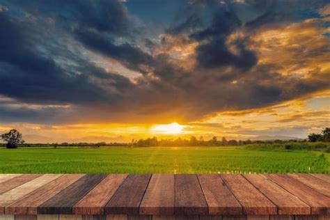 Empty Field Stock Photos, Images and Backgrounds for Free Download