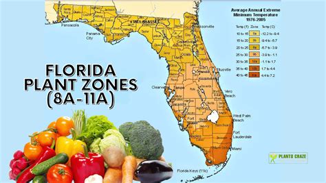 Usda Planting Zones 2024 Florida - Eydie Jaquith