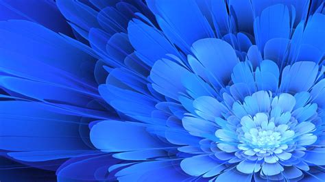 Blue Flower Desktop Wallpaper