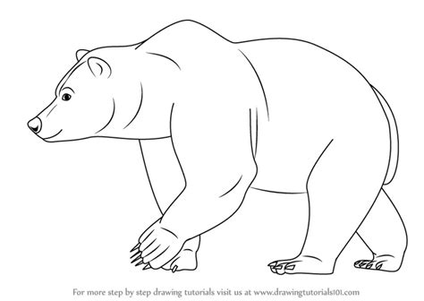 Learn How to Draw a Brown Bear (Wild Animals) Step by Step : Drawing ...