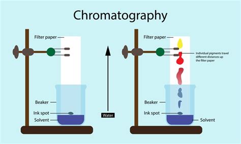 Applications of HPLC - Solution Parmacy