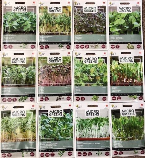 Microgreens Seeds Pack Complete - Free Shipping of Microgreens Seeds