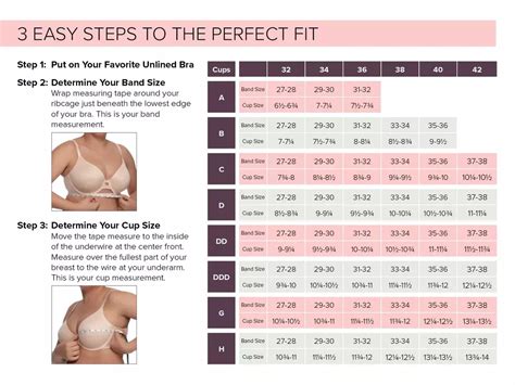 Bra Cup Size Chart For Men