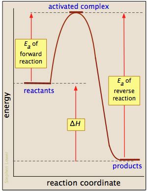 Heat Of Reaction Graph