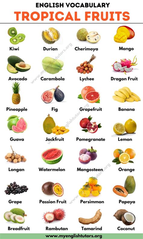 Tropical Fruits: List of 25+ Tropical Fruits You Should Try – My ...