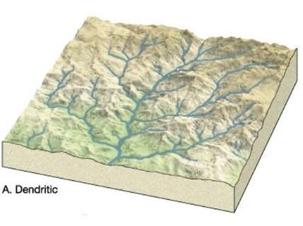 20 Fresh Dendritic Drainage System - joey-joeysocial