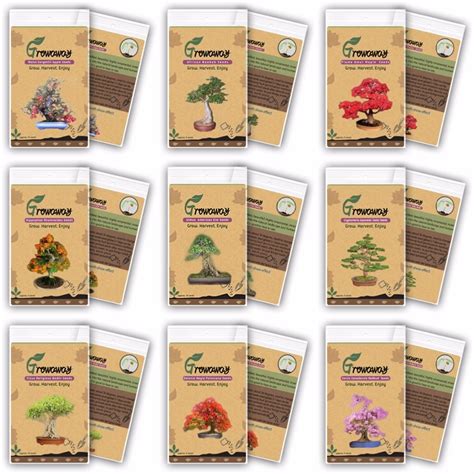 Mix of 15 Different Bonsai Seeds 85pcs total - Pure Bonsai