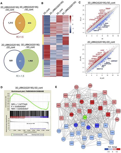 Global Gene Expression Analyses of LRRK2-G2019S Knockin 3D Organoids ...