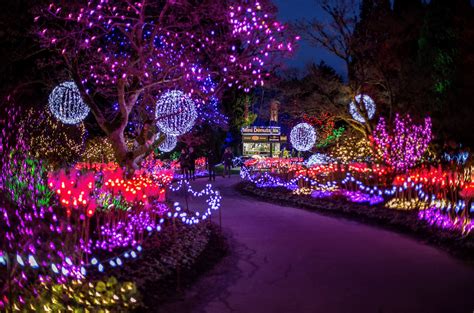 Festival of Lights at VanDusen and Stanley Park Christmas Train ...