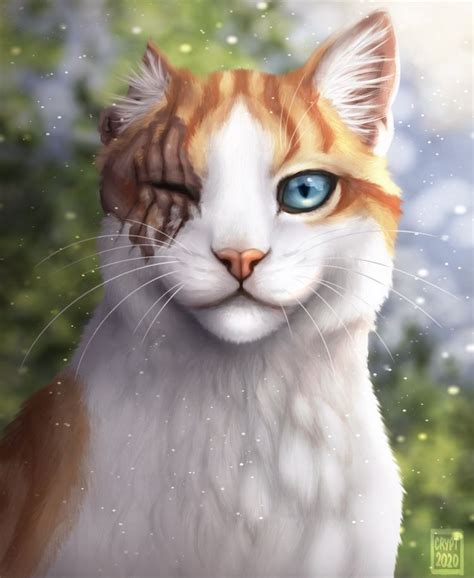 Brightheart | Warrior cats, Warrior cats books, Warrior cats art