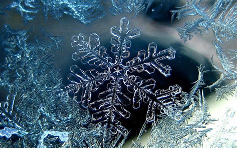 Stunning Macro Snowflake: A Captivating HD Wallpaper