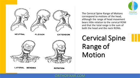 Cervical Spine Range Of Motion | OrthoFixar 2024