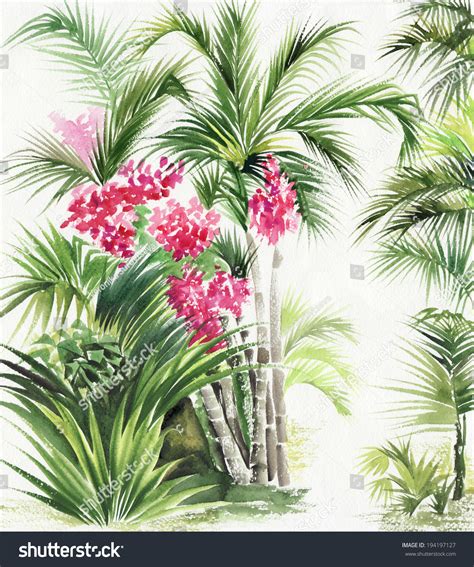 Watercolor Painting Tropical Plants Original Style Stock Illustration ...