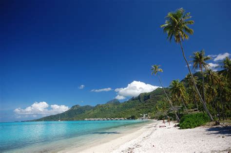 Moorea Beaches: Discover the Top 5 Beaches in Moorea