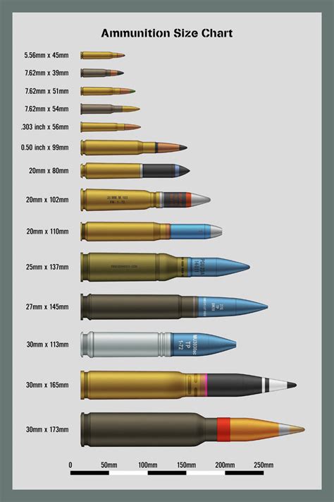 Ammo and Gun Collector: Ammo Size Comparison Charts