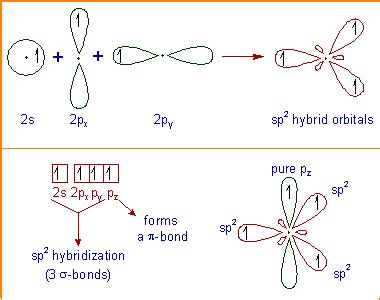 SP2 HYBRIDIZATION OF CARBON - Chemical Reactions, Mechanisms, Organic ...