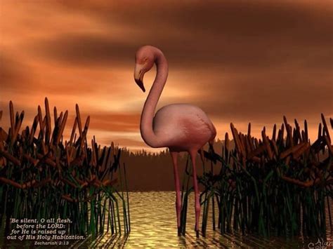 3840x2160px, 4K Free download | Pretty Flamingo, reeds, sunset sky ...