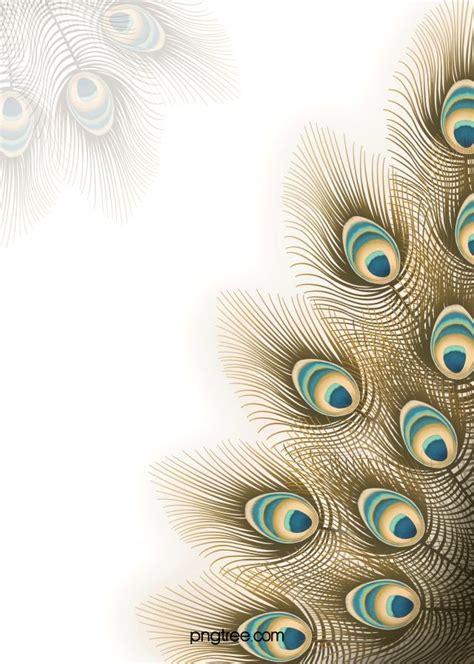 Peacock Krishna Hd Wallpaper ~ Wallpaper Peacock, Feathers, Animals ...