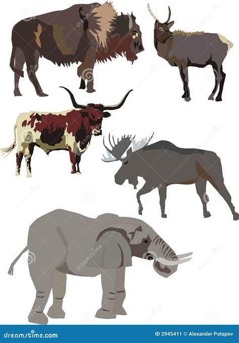 Strong Animals Collection Stock Image - Image: 2945411