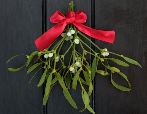 Mistletoe Meaning: It's More Than a Christmas Decoration on Whats-Your-Sign