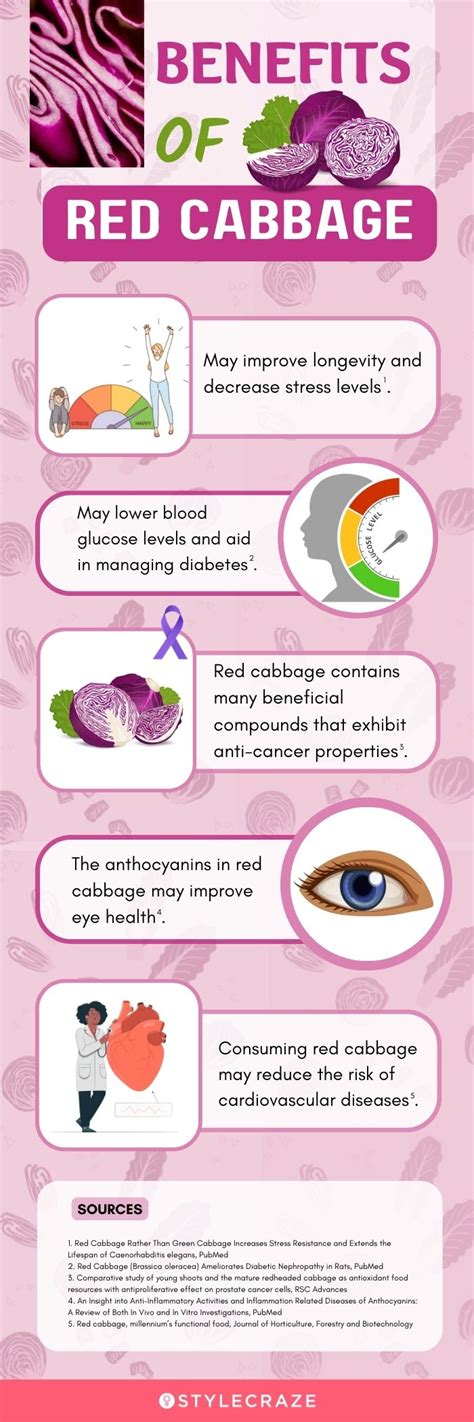 Health Benefits Of Red Cabbage, Nutrition, And Side Effects