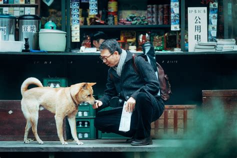 Film Review: Hachiko (2023) by Xu Ang