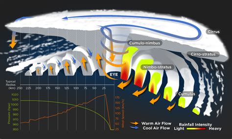 Tropical cyclones explained - ABC News