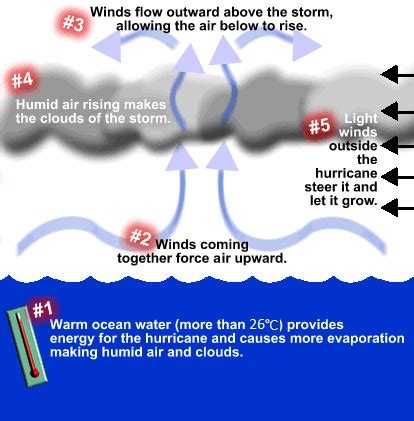 How are typhoons formed? | Socratic