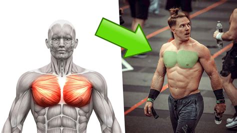 The Ultimate Chest Workout in Only 20 Minutes (for Mass and Muscle ...