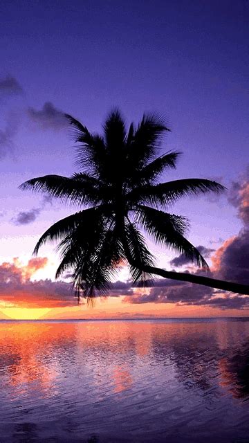 sunset beach GIF - Download & Share on PHONEKY