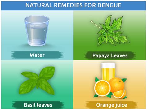 How To Cure Dengue - Tomorrowfall9